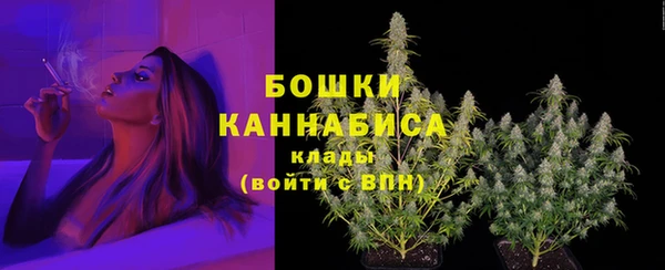 не бодяженный Новодвинск