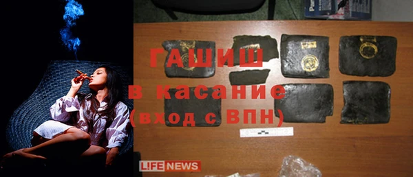 прущие грибы Новокубанск