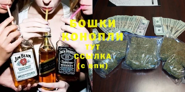 не бодяженный Новодвинск