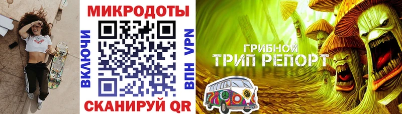 где купить наркоту  Нолинск  Галлюциногенные грибы мицелий 